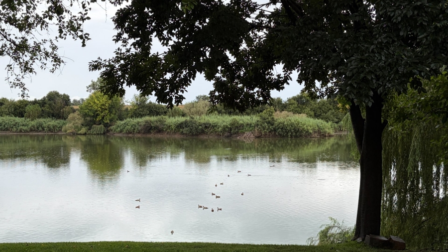 4 Bedroom Property for Sale in Viljoenskroon Rural Free State